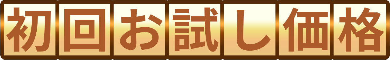 初回お試し価格